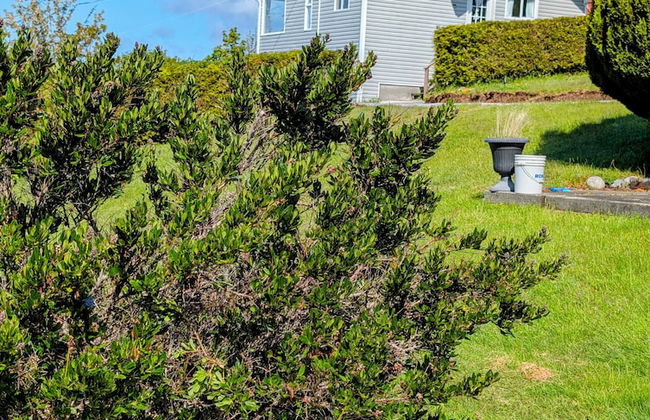 Cliff Haven on the Bay - Photo 38