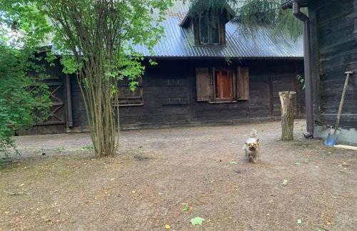 Dom z linią brzegową Narwi 2 - Photo 23