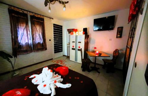 Studio19 Cosy Sauna Jacuzzi et jardinet privatifs - Foto 30