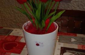 Sally's House - Photo 25