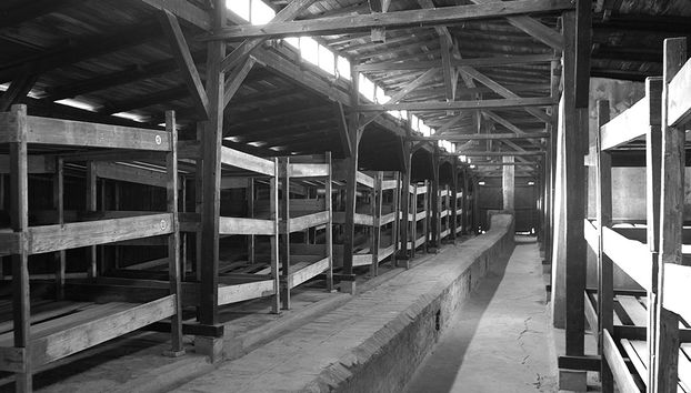 Visite guidée d'Auschwitz Birkenau avec transfert privé - Photo 5