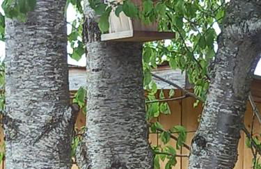 Gites & Cocon des Puys - Au cœur des Volcans d'Auvergne - Foto 62