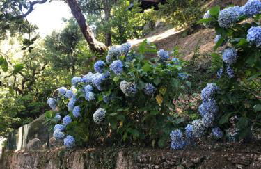 Sobreiro Valley - Casa Firmino - Foto 35