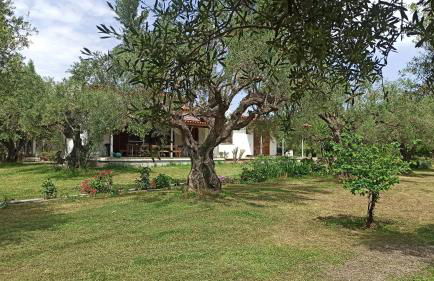 Nafpaktos cottage by the sea for travelers and dreamers! - Foto 62