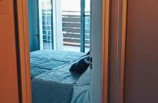 Eva Studio Apartment Rho Fiera Galeazzi - Photo 16