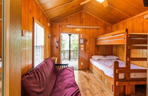 Jellystone Mammoth Cave - Foto 20