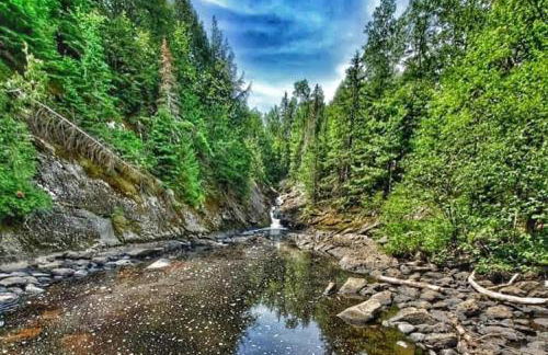 Paddler's Paradise Cabin with Direct Trail Access! - Foto 45