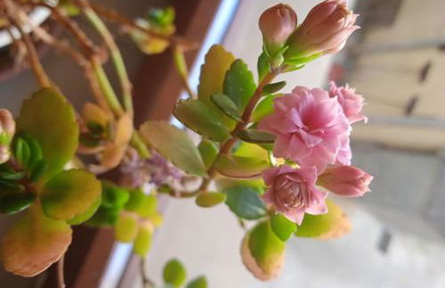 Casa Stella - Foto 4