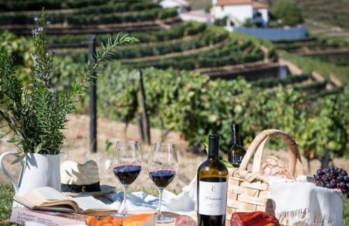 Quinta da Côrte - Foto 20