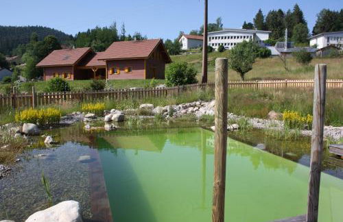 Le Domaine des Fleurs - Appartement La Gentiane - Foto 20