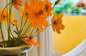 Casa a 3 min da Praia do Peró - Cabo Frio - RJ - Photo 27