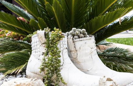 Villa Son Fanals - Foto 26