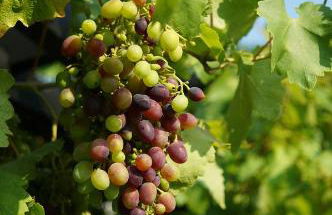 Ferienwohnung Am Fenn - Foto 4