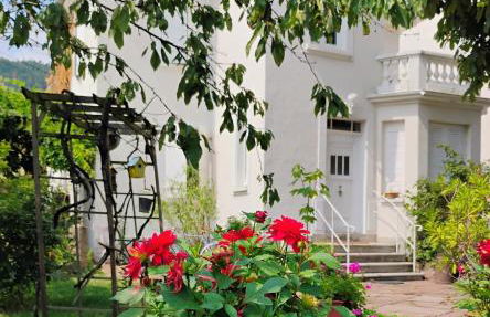 Gîte Le Marronnier, parking et terrasse au calme, entre Colmar-Riquewihr et Obernai, vue sur espaces verts et coteaux d Alsace, route du vin-châteaux - Foto 9