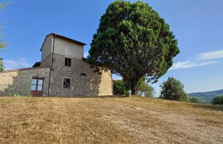 Colle Costanza - Foto 25