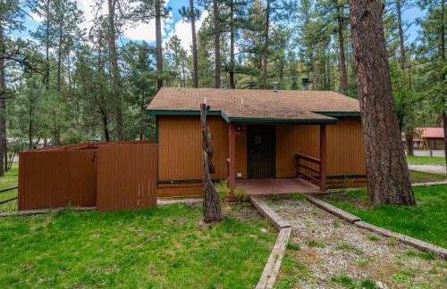 Roadrunner - Cozy Cabin - Whirlpool and Hot Tub - Foto 22