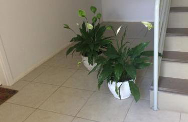 J&C ap.- Canela - Foto 22