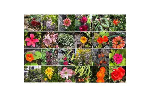 Vistalinda Farmhouse - Foto 17