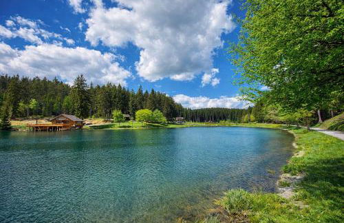 Apartment Lale - Frankenwald, Seeblick & Rennsteig - Foto 6