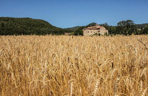 Agriturismo Terra di Michelangelo - Foto 106