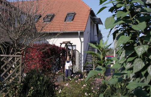 Apartment in Luckaitztal-gossda With Parking Space - Photo 2