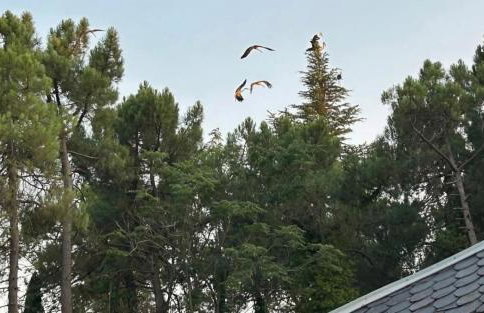 Hotel Rural Victoria by Bossh! Hotels - Foto 5