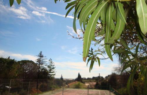 Leucate,cadre arboré,ombragé,sous les cyprès - Foto 5