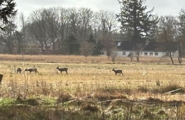 "Marla" - 1.1km from the sea - Foto 16