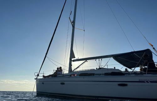 Velero en puerto de valencia - Photo 2