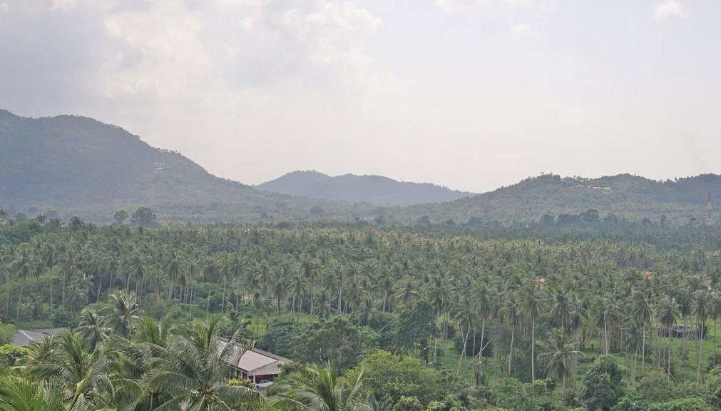 Safari en Jeep dans la Jungle - Photo 1