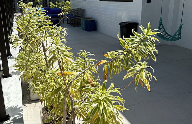 Melhores Flats - Agradável perto do mar - Foto 23