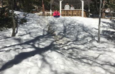 Gingerbread Gardens - Foto 3