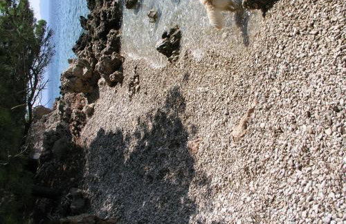 Apartmani Boban - Photo 6