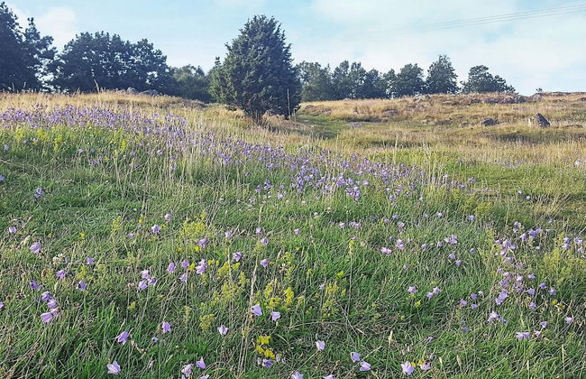 4 Person Holiday Home in Kyrkesund-by Traum - Foto 37