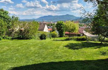 Green Home - Foto 36