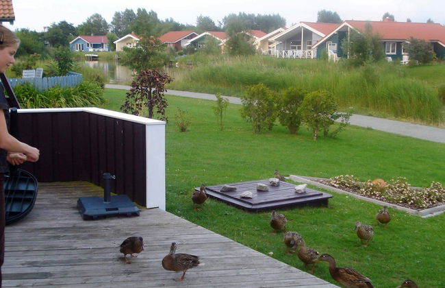 Holiday Home in Otterndorf - Foto 23