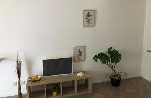 Apartamento Mar Azul - Foto 6