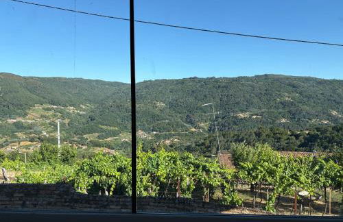 Wine Lodge Ribeira Sacra - Foto 14