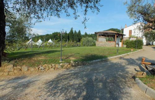 Agriturismo Ai Mandrioli - Foto 29