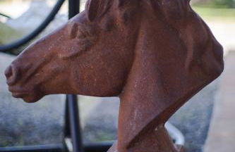 Agriturismo Podere Pizzicagallo - Foto 40