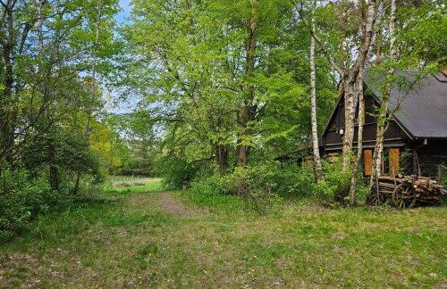 Dom z linią brzegową Narwi 3 - Photo 10