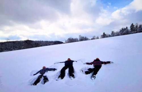 Bieszczadzkie Dworki - Foto 73