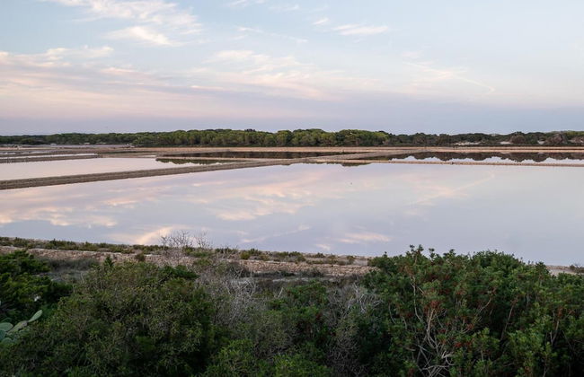 Cas Saliners - Ses Illetes - Foto 55