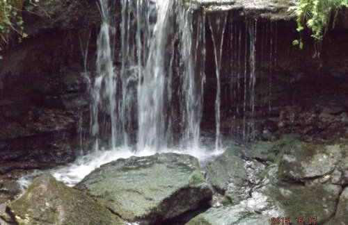 Ferienhaus-Hotel "Zur Grünen Oase" - Foto 68
