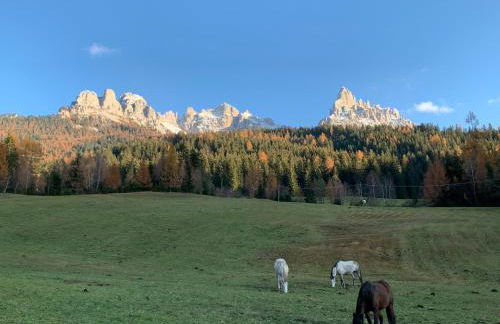 Obereggen - Anna - Foto 45