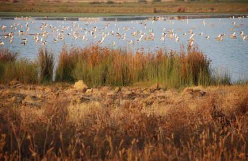 Praia dos Salgados - Vila das Lagoas - Foto 47