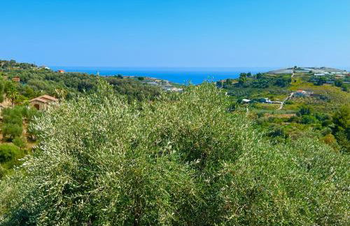 La Casa del Fico - Foto 24