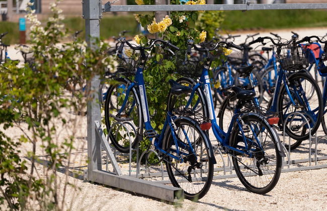 Marina Azzurra Resort - Photo 33