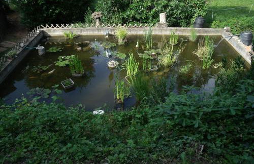 Domaine De La Provenç'âne - Foto 17