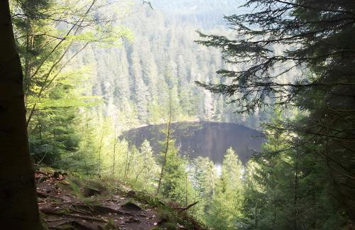 Gästehaus Brigitte Schoch - Photo 8